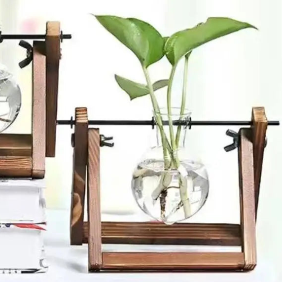 Mon petit Monstera à bouturer (Kit 1 sujet)