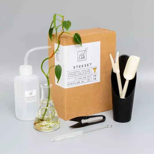 Kit de bouturage débutant