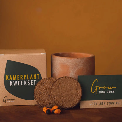 Kit à Semer Monstera Deliciosa