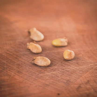 Kit départ graines (médium/expert)