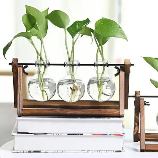 Jardinière de bouturage (3 Bulles)