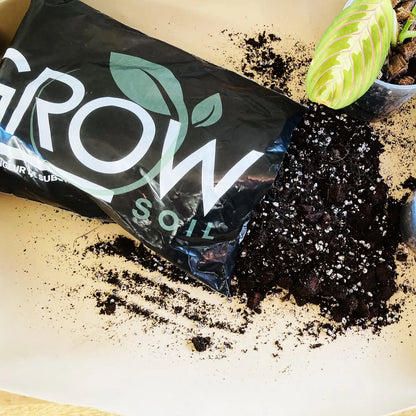 Terreau spécial Monstera