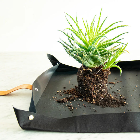 Toile de rempotage pour jardin urbain